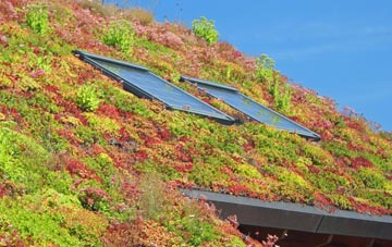 Rootfield living roof systems