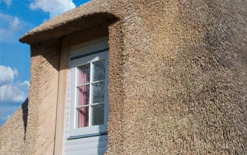 Rootfield thatch roof disadvantages