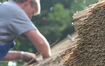 professional Rootfield thatchers