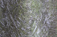 Rootfield fibreglass roof work